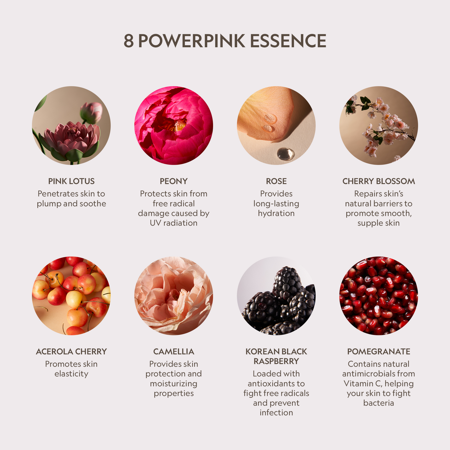Crema facial renovadora con péptidos y loto rosa