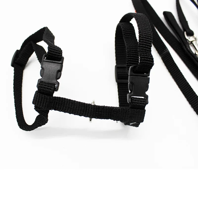 5 Color Adjustable Pet Collar