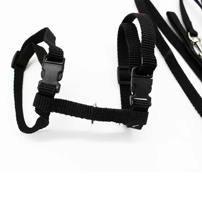 5 Color Adjustable Pet Collar