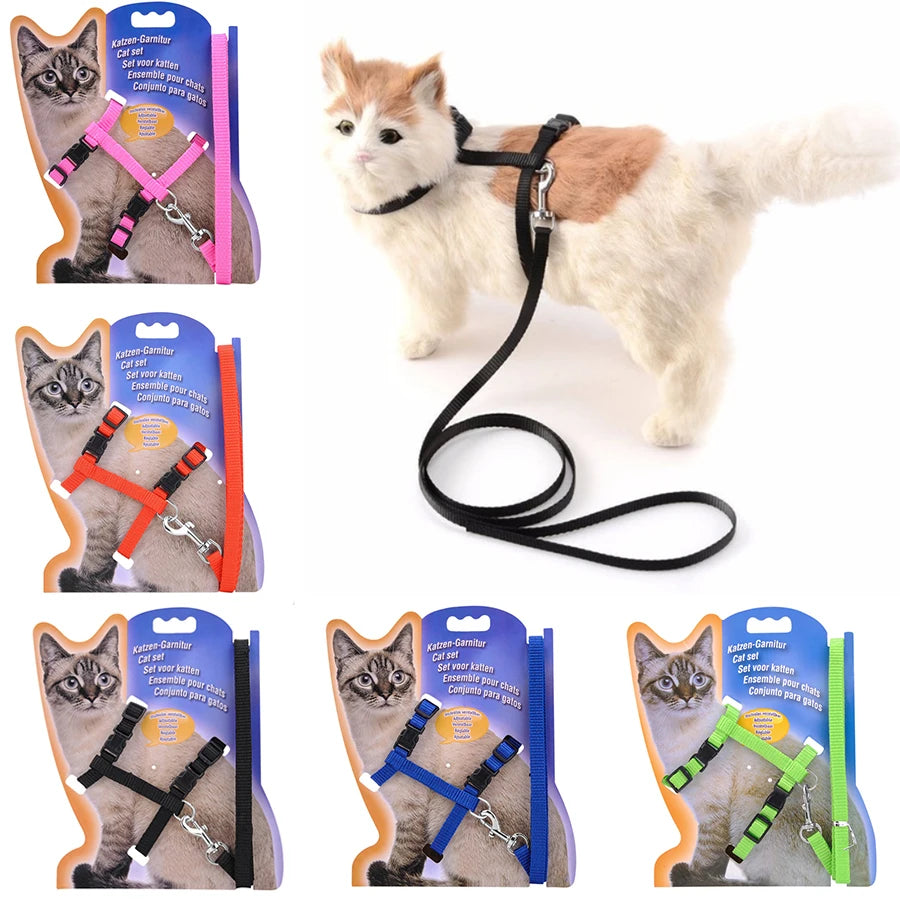 5 Color Adjustable Pet Collar