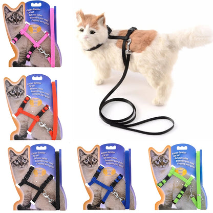 5 Color Adjustable Pet Collar
