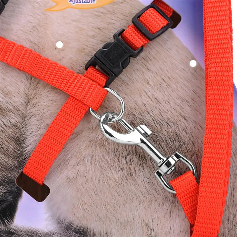 5 Color Adjustable Pet Collar