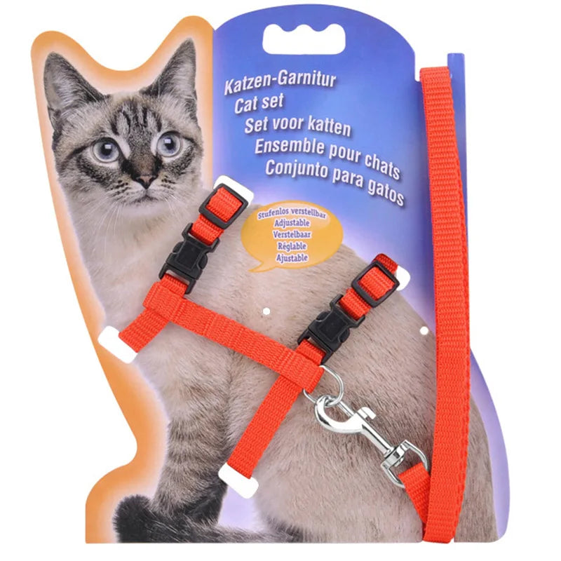 5 Color Adjustable Pet Collar