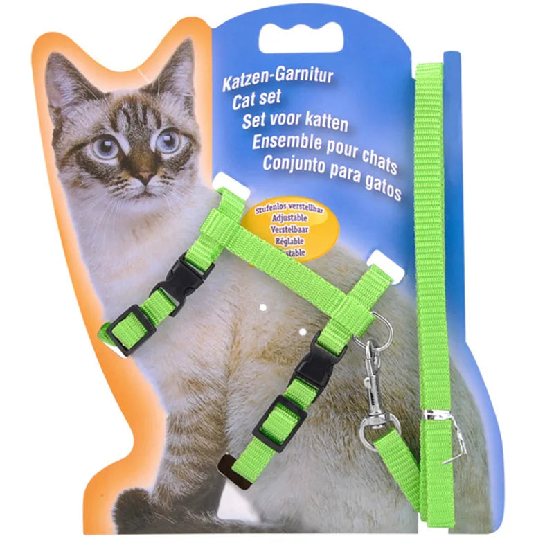 5 Color Adjustable Pet Collar