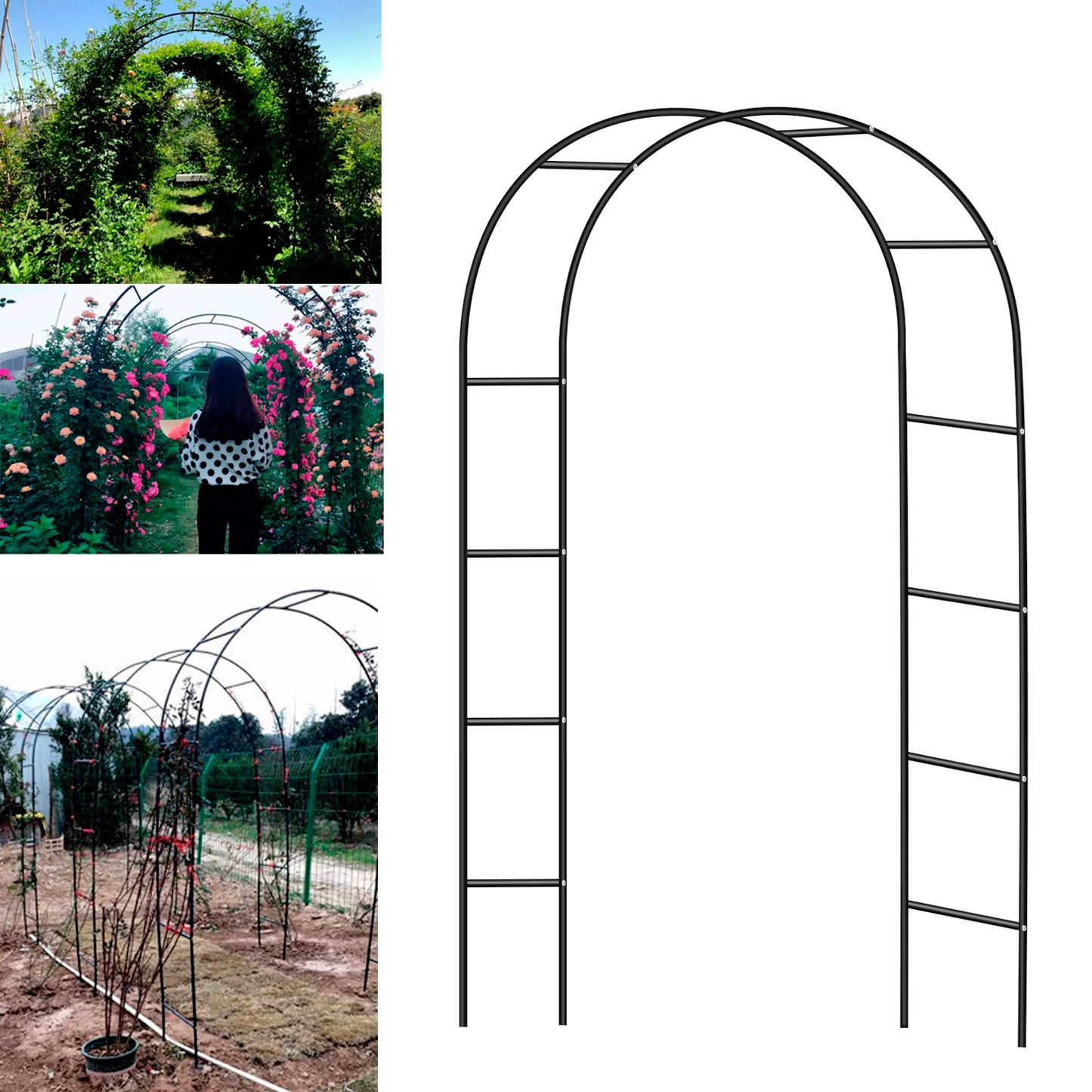 Iron Wedding Arch