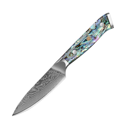67 Layers Damascus Steel Kitchen Chef Knife Set
