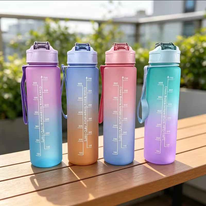 Frosted Gradient Water Bottle with Portable Straw and Handle