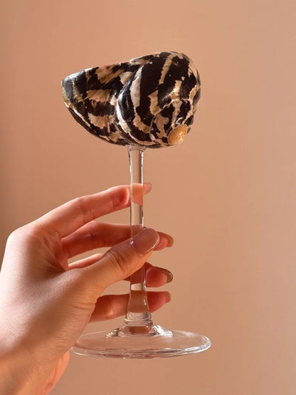 Conch Shell Champagne Flute Glass