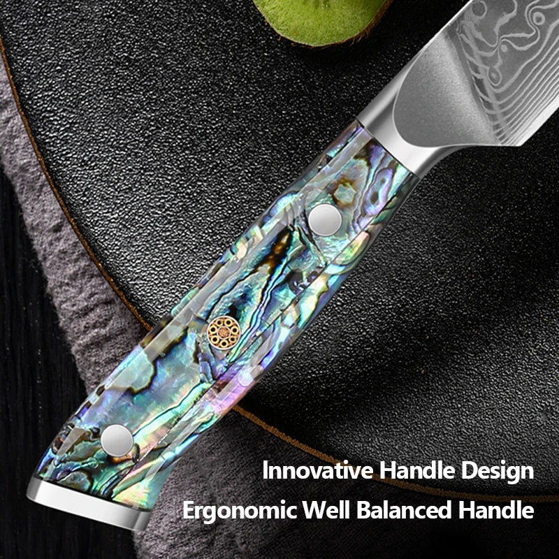 67 Layers Damascus Steel Kitchen Chef Knife Set