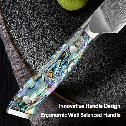 67 Layers Damascus Steel Kitchen Chef Knife Set