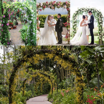 Iron Wedding Arch