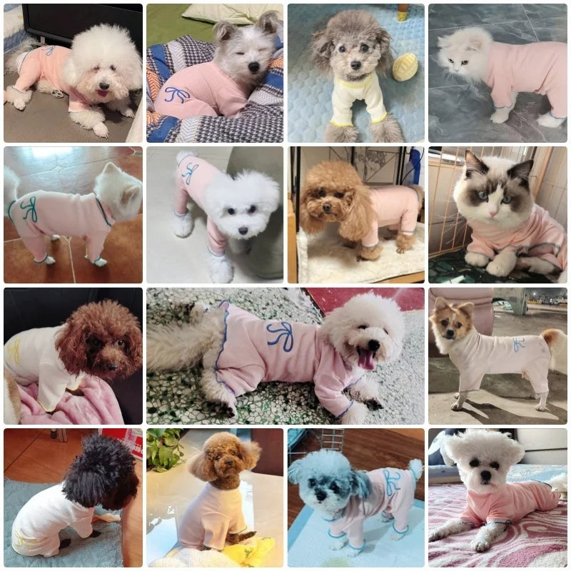 Thin Four Legged Clothes