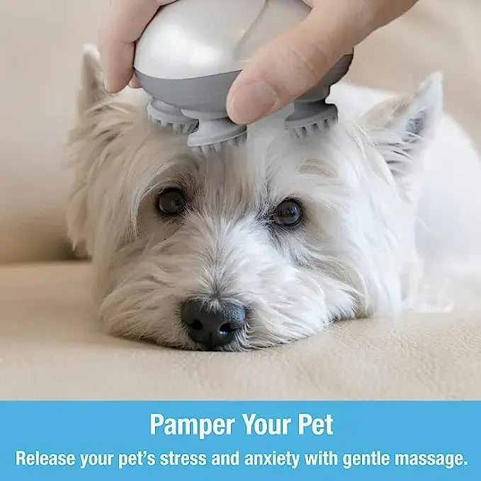 Electric Massager Head Back Scratcher