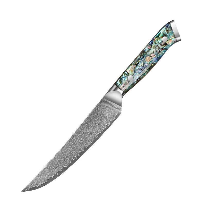 67 Layers Damascus Steel Kitchen Chef Knife Set