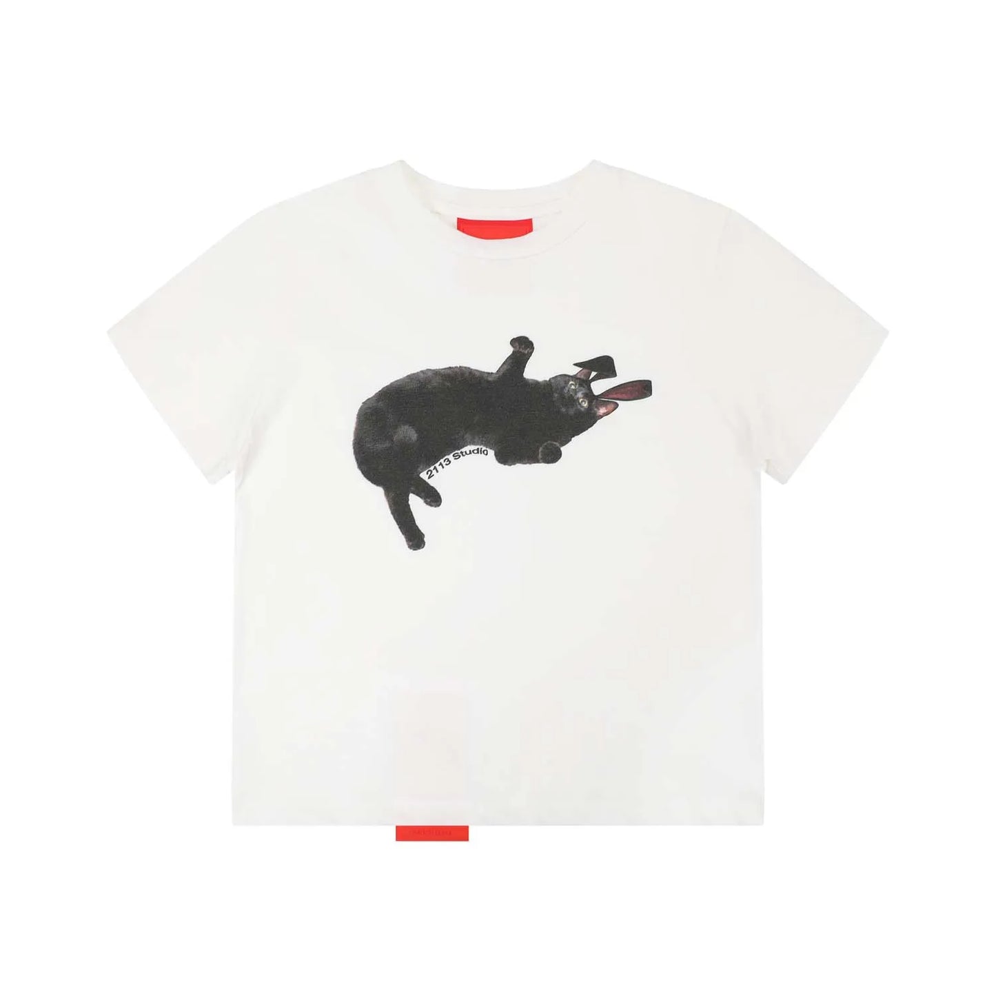 [REコンテナ]Camiseta coreana de moda Y2k Crop Top con lindos estampados de gatos, camiseta Kawaii de manga corta para mujer, camisetas ajustadas