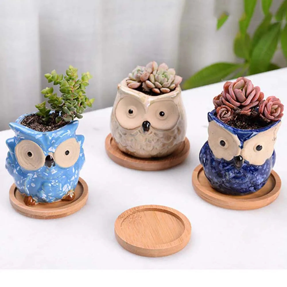 Wooden Bamboo Serving Plate Set
