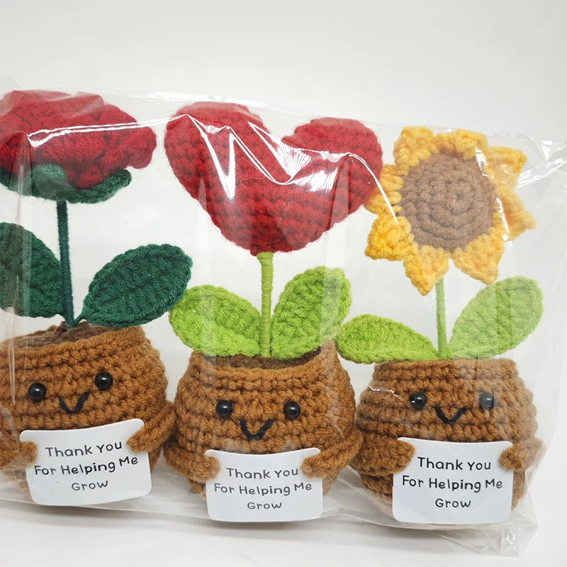 Crochet Flower Pot Decoration Hand Woven