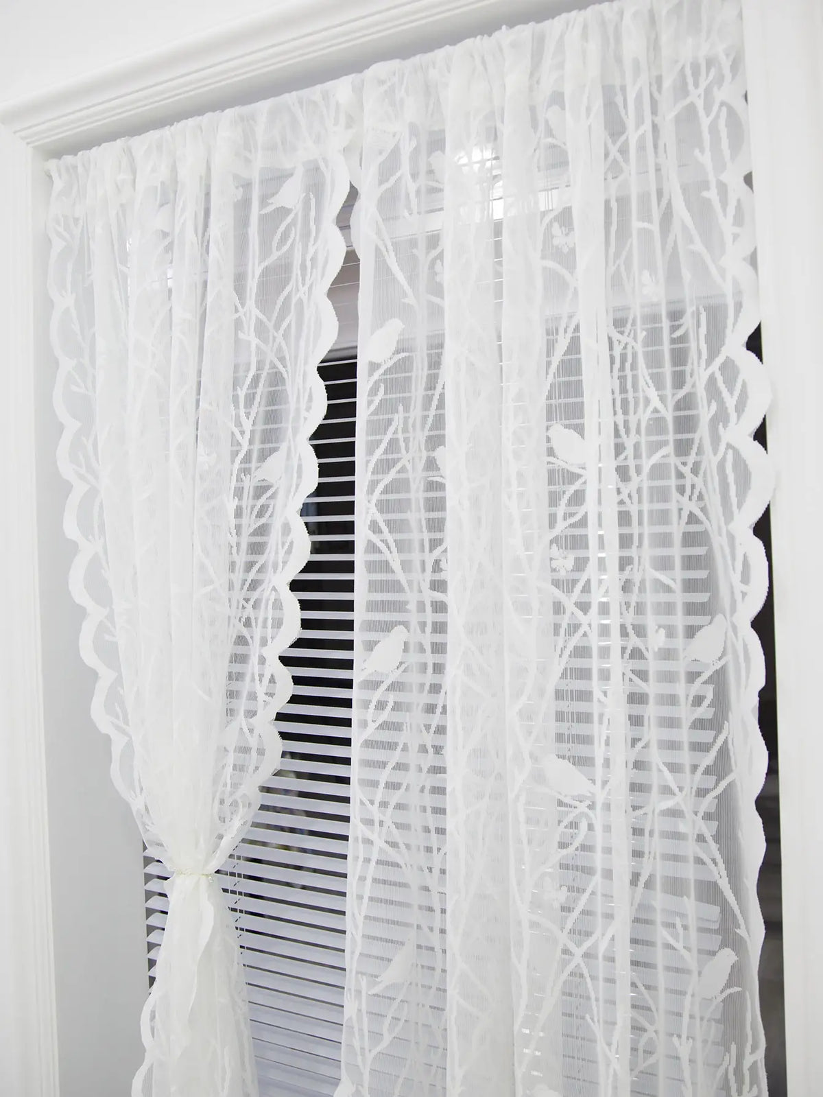 White Lace Curtain