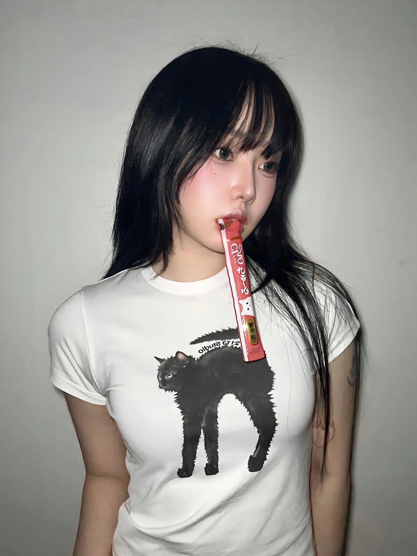 [REコンテナ]Camiseta coreana de moda Y2k Crop Top con lindos estampados de gatos, camiseta Kawaii de manga corta para mujer, camisetas ajustadas