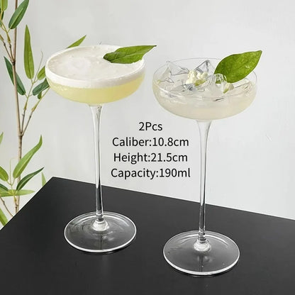Transparent Martini Glass