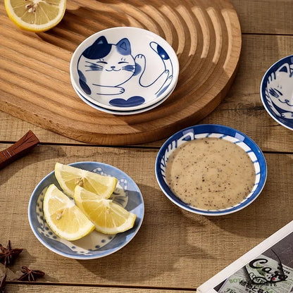 Sauce Dishes Sushi Plate