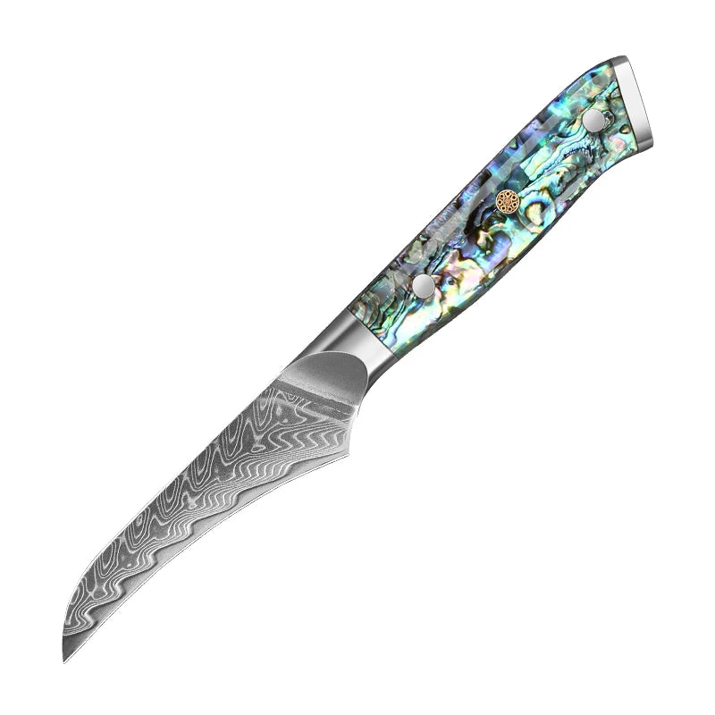 67 Layers Damascus Steel Kitchen Chef Knife Set