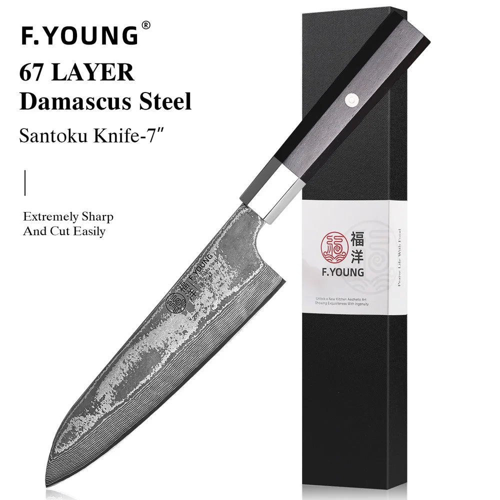 Damascus Steel Professional Kitchen Knives