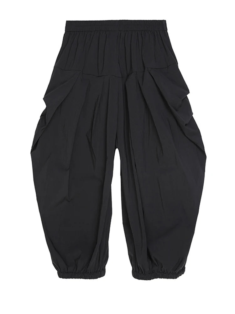 High Elastic Waist Pleated Pants