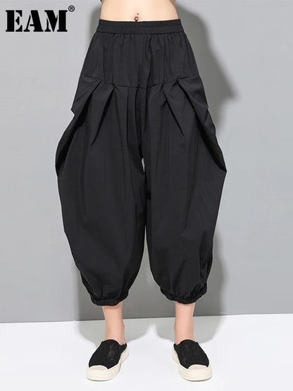 High Elastic Waist Pleated Pants