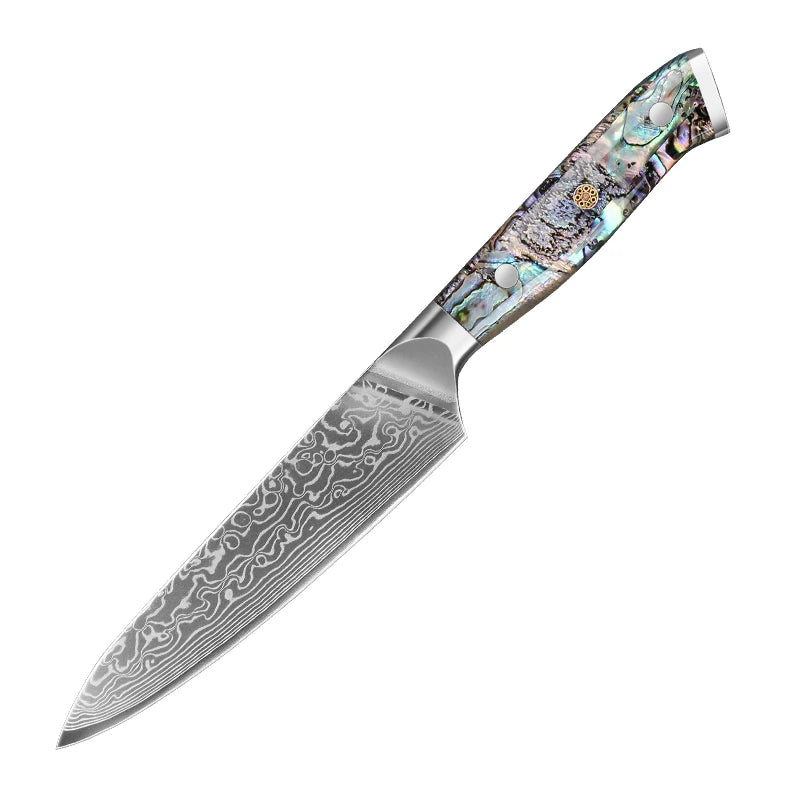 67 Layers Damascus Steel Kitchen Chef Knife Set