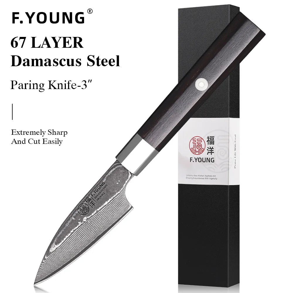 Damascus Steel Professional Kitchen Knives