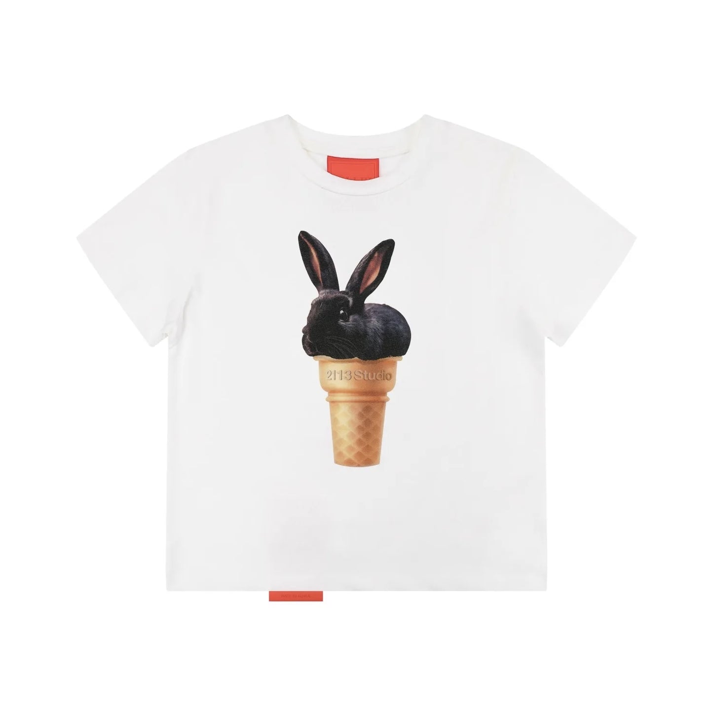 [REコンテナ]Camiseta coreana de moda Y2k Crop Top con lindos estampados de gatos, camiseta Kawaii de manga corta para mujer, camisetas ajustadas