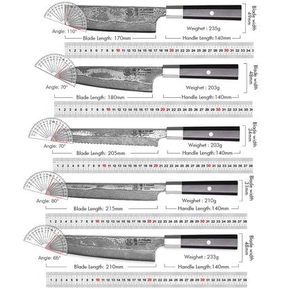 Damascus Steel Professional Kitchen Knives