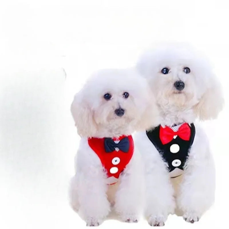 Adjustable Pet Harness with Bow Tie Leash Set